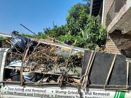 Best Hoarding Cleanup  in Moa, UT